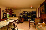 [Obrázek: Degustace výběrových vín ve vinařském institutu v Praze (8)