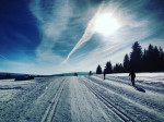 [Obrázek: Intenzivní celodenní kurz běžeckého lyžování na českých horách (1)