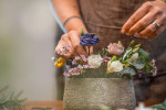 [Obrázek: Kurz základů aranžování květin v květinovém ateliéru (10)