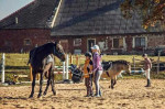 [Obrázek: Návštěva Zvířátkova s projížďkou na koni, krmením nebo procházkou pro rodinu (11)