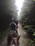 [Obrázek: Skupinová celodenní vyjížďka do přírody na koni (11)
