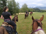 [Obrázek: Skupinová celodenní vyjížďka do přírody na koni (2)