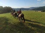 [Obrázek: Skupinová celodenní vyjížďka do přírody na koni (3)