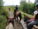 [Obrázek: Skupinová celodenní vyjížďka do přírody na koni (6)