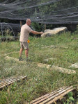[Obrázek: Degustační 4chodové menu ze šnečích a lanýžových specialit s exkurzí na farmě LeŠnek u Kolína (16)