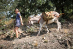 [Obrázek: Den farmářem na zkoušku na oslí farmě v Českém ráji (11)