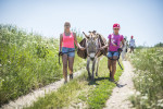 [Obrázek: Den farmářem na zkoušku na oslí farmě v Českém ráji (14)