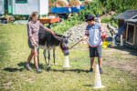 [Obrázek: Den farmářem na zkoušku na oslí farmě v Českém ráji (23)