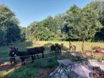[Obrázek: Den farmářem na zkoušku na oslí farmě v Českém ráji (3)