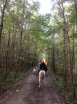 [Obrázek: Dvouhodinová vyjížďka na koni do přírody (6)