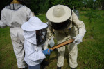 [Obrázek: Exkurze na včelí farmě (1)