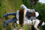 [Obrázek: Exkurze na včelí farmě (8)