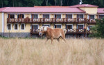 [Obrázek: Farmářem na zkoušku s ubytováním a polopenzí v Resortu Stein u Chebu (4)