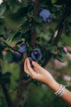 [Obrázek: Glamping Boho jurta v Kostici u Břeclavi (19)