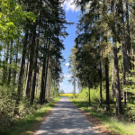 [Obrázek: Glamping v srdci jižních Čech (13)