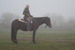 [Obrázek: Individuální výcviková lekce jízdy na koni (10)