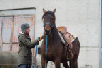 [Obrázek: Individuální výcviková lekce jízdy na koni (12)