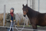 [Obrázek: Individuální výcviková lekce jízdy na koni (13)