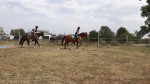 [Obrázek: Individuální výcviková lekce jízdy na koni (17)