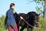 [Obrázek: Individuální výcviková lekce jízdy na koni (6)