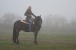 [Obrázek: Individuální výcviková lekce jízdy na koni (9)