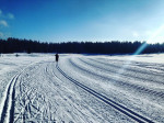 [Obrázek: Intenzivní celodenní kurz běžeckého lyžování na českých horách (2)