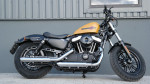 [Obrázek: Jízda na motorce Harley Davidson (8)