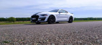 [Obrázek: Jízda ve Ford Mustang 5.0 V8 GT Nový Bydžov (13)