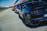 [Obrázek: Jízda ve Ford Mustang GT 5.0 V8 na velkém závodním okruhu (2)