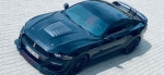 [Obrázek: Jízda ve Ford Mustang GT 5.0 V8 na velkém závodním okruhu (4)