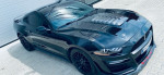 [Obrázek: Jízda ve Ford Mustang GT 5.0 V8 na velkém závodním okruhu (7)