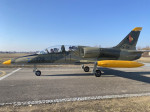 [Obrázek: L-39 Albatros (9)