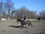 [Obrázek: Můžete sledovat výcvik jízdy na koních. (3)