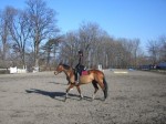 [Obrázek: Můžete sledovat výcvik jízdy na koních. (4)