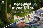 [Obrázek: Nocování v ZOO Tábor včetně možnosti stát se ošetřovatelem zvířat]