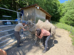 [Obrázek: Ošetřovatelem exotických zvířat na zkoušku pro 2 osoby - lamy, velbloudi a další zvířata]