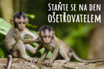 [Obrázek: Ošetřovatelem v Zoo Tábor (1)