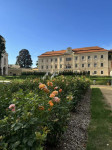 [Obrázek: Pobyt na Zámku Bystřice nad Úhlavou (13)