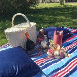 [Obrázek: Pobyt v unikátním Vigvam resortu pro dva s polopenzí, piknikem a wellness (8)