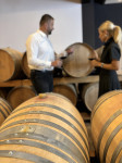 [Obrázek: Pobyt ve vinařství Bíza s degustací Čejkovice jižní Morava (6)