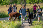 [Obrázek: Rodinný pobyt na krásném Zámku Křtiny v Moravském krasu s polopenzí a procházkou s lamou alpakou (5)