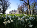 [Obrázek: Romantická noc na úchvatném Chateau Mcely***** s polopenzí a privátním wellness pro 2 osoby (29)