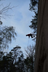 [Obrázek: Rope jumping ze starého lomu nedaleko Prahy (7)