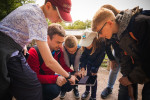 [Obrázek: Rychnovský zázrak - venkovní úniková hra v přírodě okolo Rychnova na Moravě (8)
