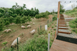 [Obrázek: Úžasný Glamping u oveček na venkově jižní Moravy (18)