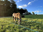 [Obrázek: Úžasný glamping v jurtě na samotě uprostřed nádherné podkrkonošské přírody pro 2 osoby (29)