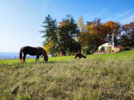 [Obrázek: Úžasný glamping v jurtě na samotě uprostřed nádherné podkrkonošské přírody pro 2 osoby (30)