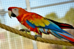 [Obrázek: VIP prohlídka ZOO Tábor (11)