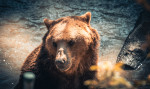 [Obrázek: VIP prohlídka ZOO Tábor (6)