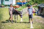 [Obrázek: Zážitková návštěva oslí farmy (15)
